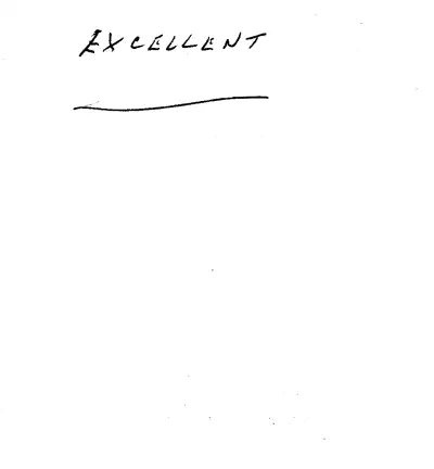 Handwritten customer review